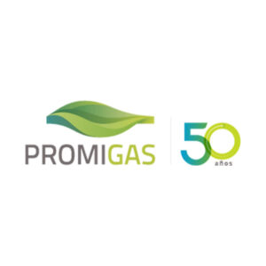 https://www.promigas.com/Paginas/default.aspx