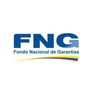 https://www.fng.gov.co/